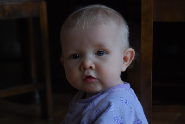 DSC_0548.JPG